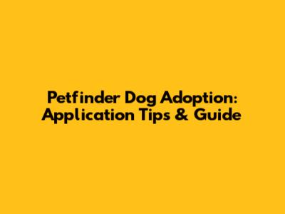 Petfinder Dog Adoption: Application Tips & Guide