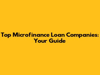 Top Microfinance Loan Companies: Your Guide